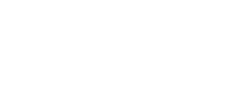 Dude's Dent Removal